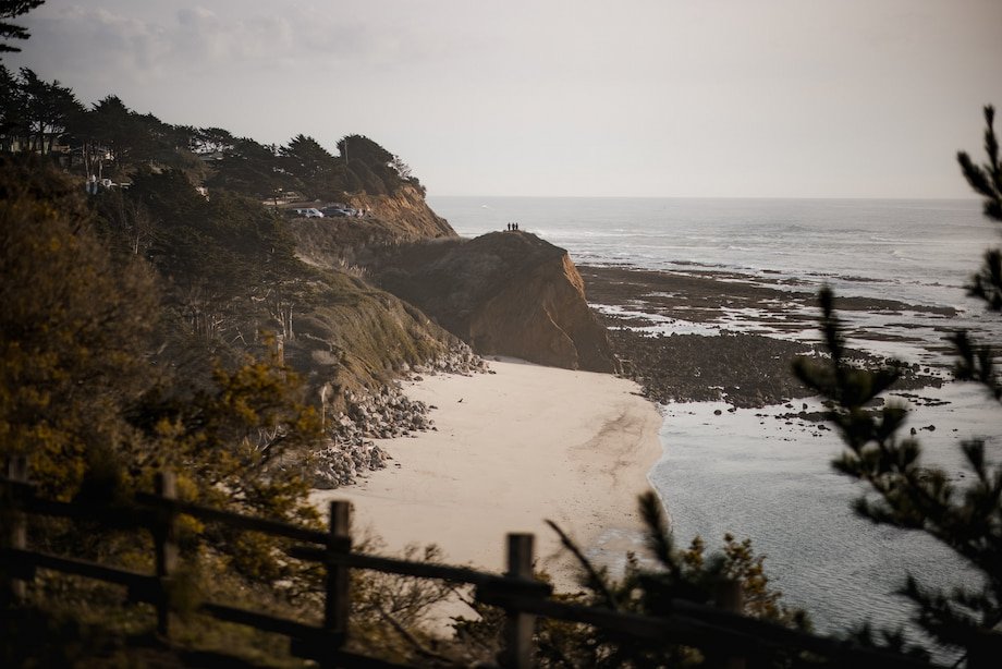 Gold Bluffs Beach