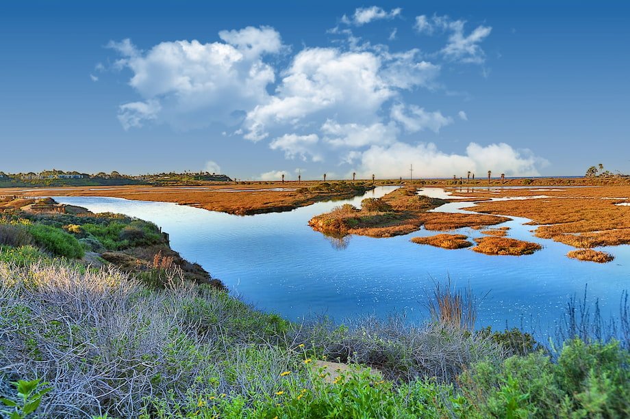 San Elijo Lagoon Ecological Reserve