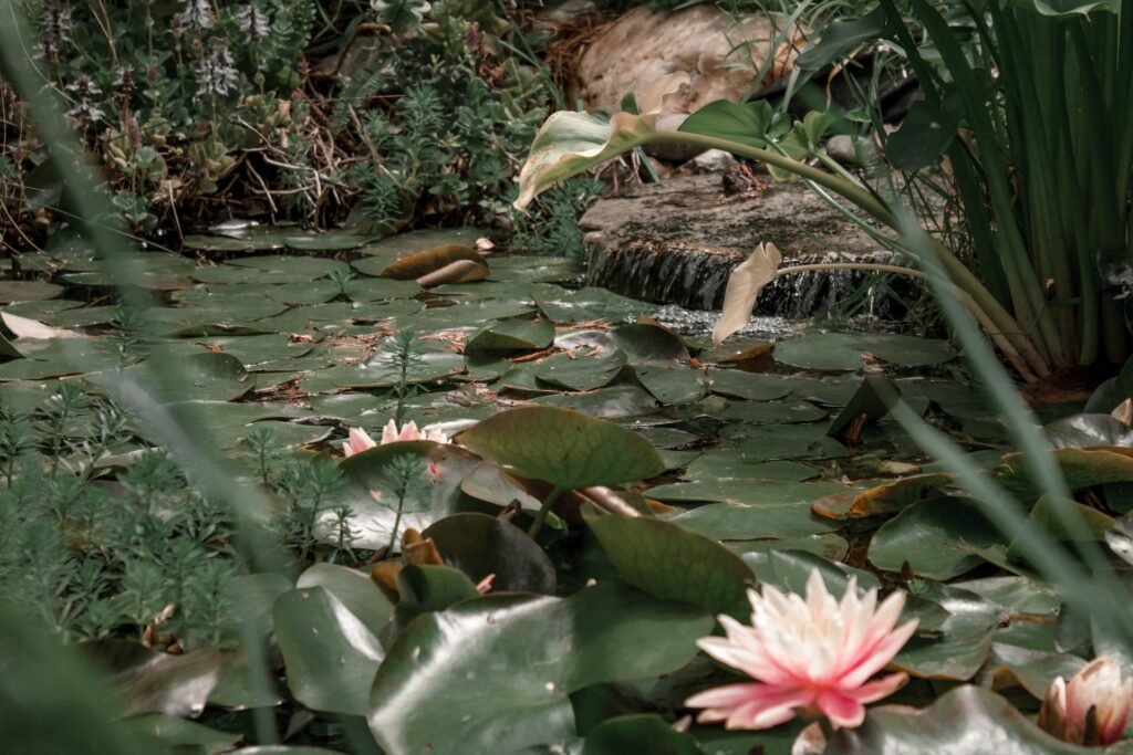 San Diego Botanic Garden