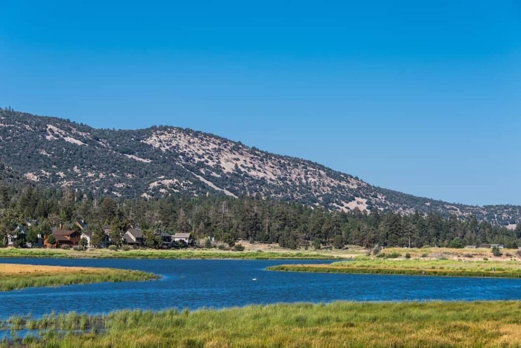 Stanfield Marsh Wildlife Hike