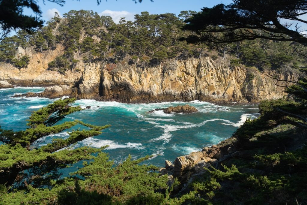 Point Lobos State Natural Reserve