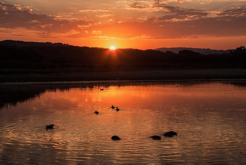 6. Go Bird Watching at Carmel River Lagoon