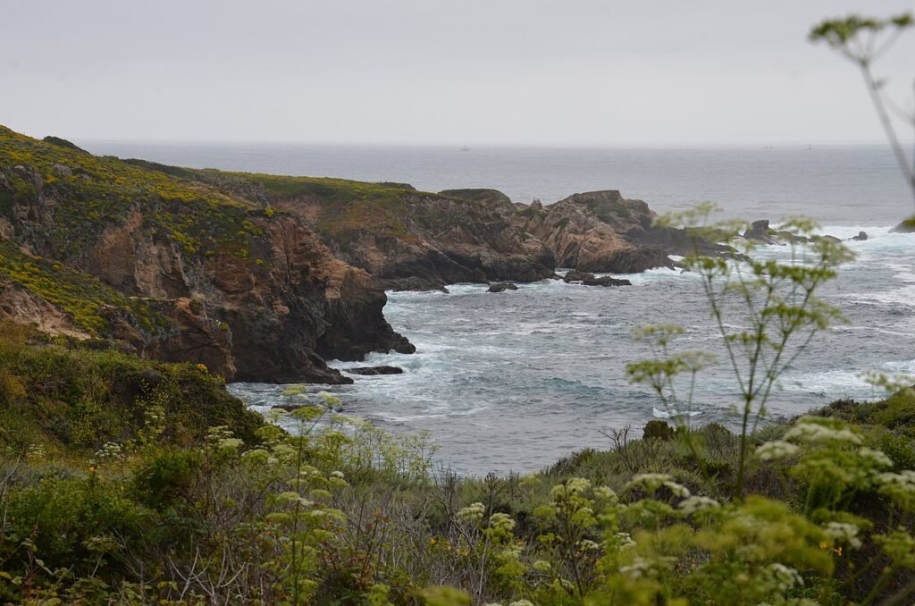 Garrapata State Park