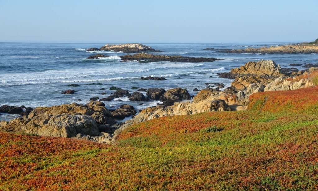 17-Mile Drive