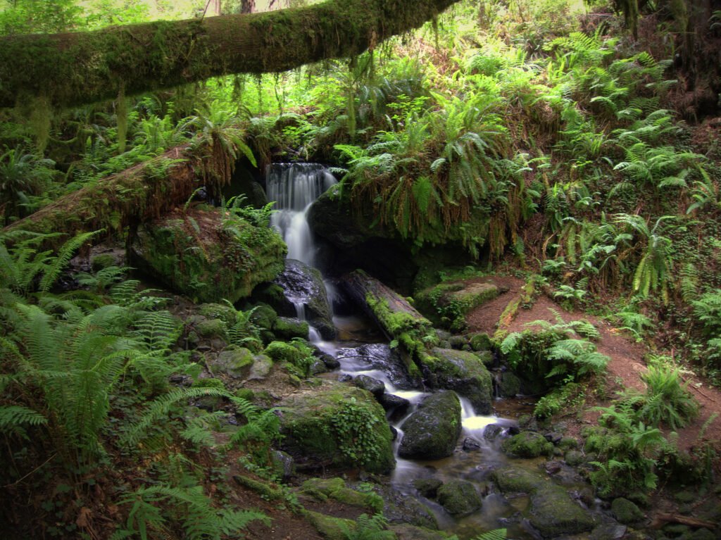 Trillium Falls