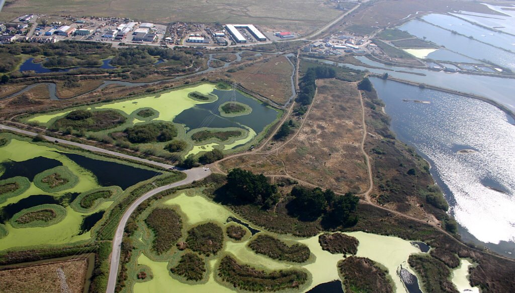 Arcata Marsh and Wildlife Sanctuary