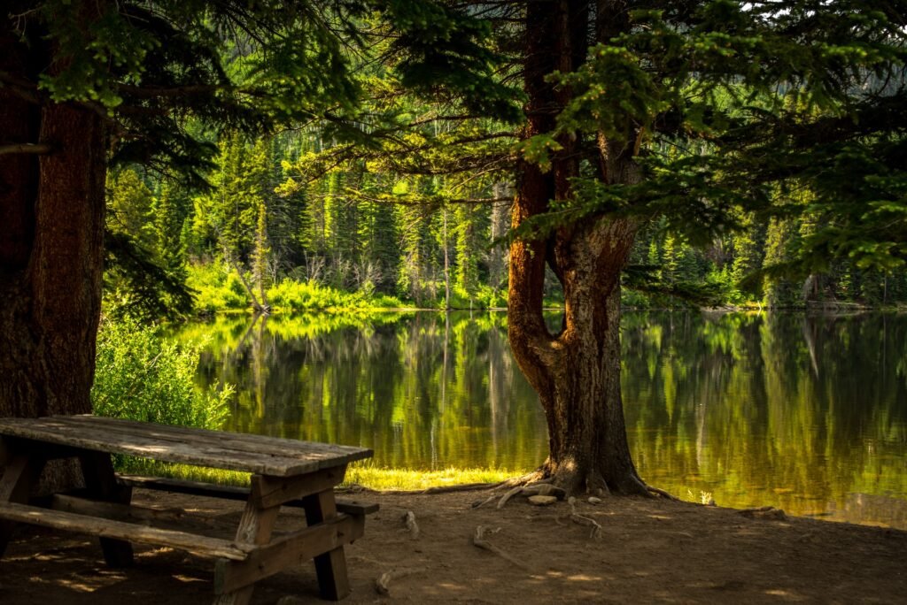 picnic at shaver lake