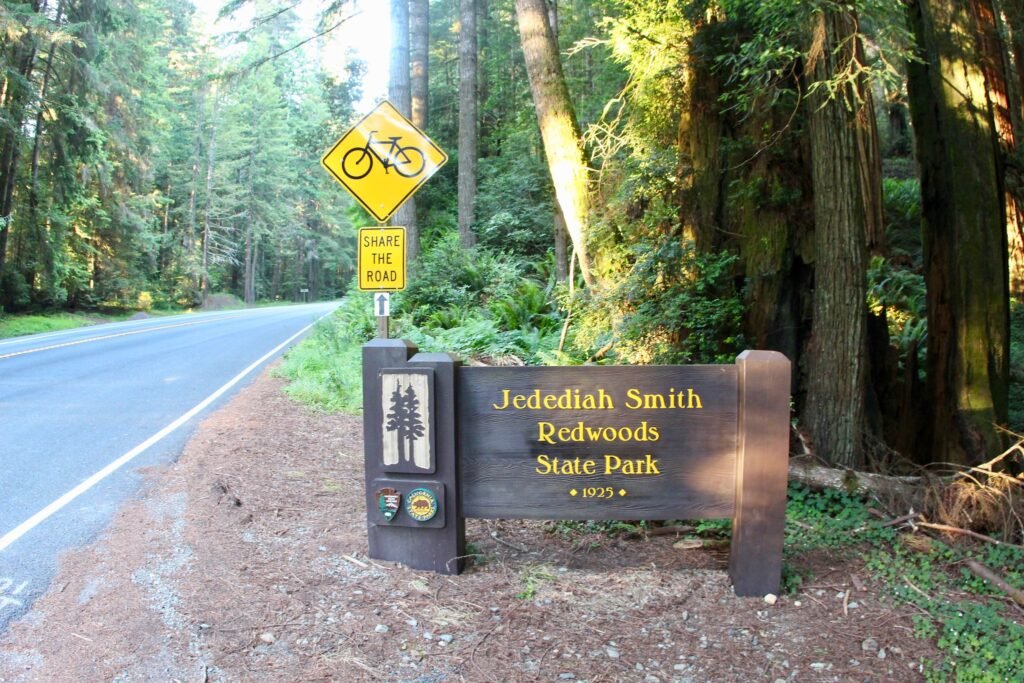 Jedediah Smith Redwoods State Park