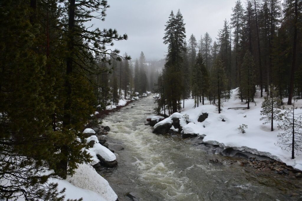 snow at shaver lake