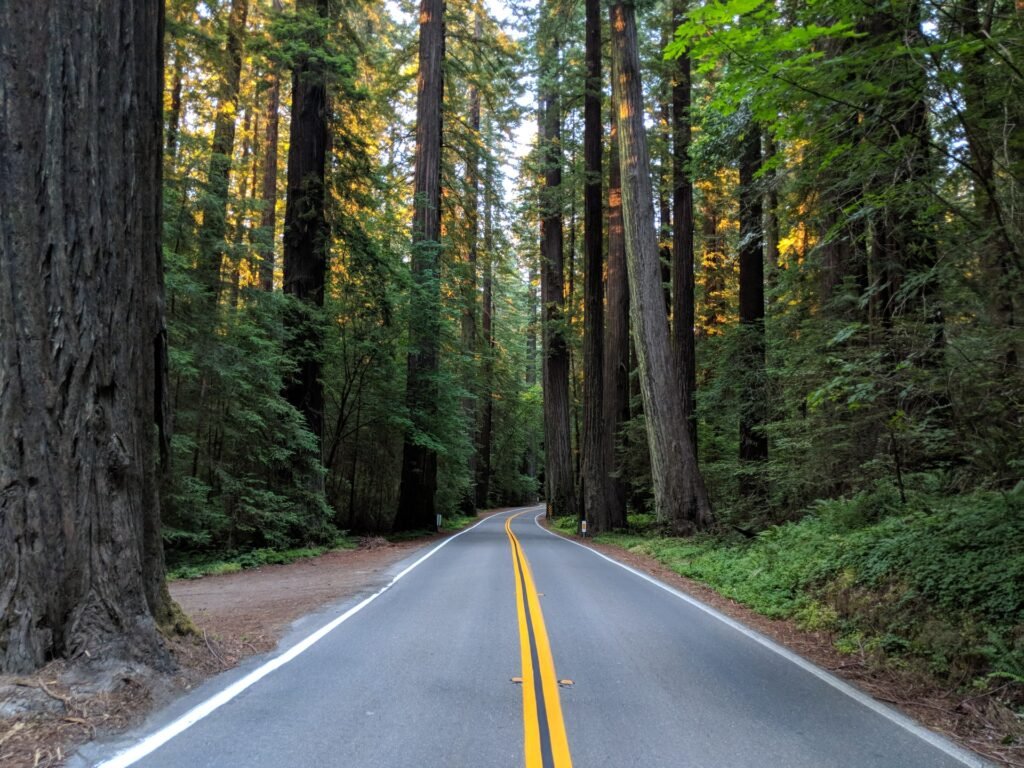 Humboldt county