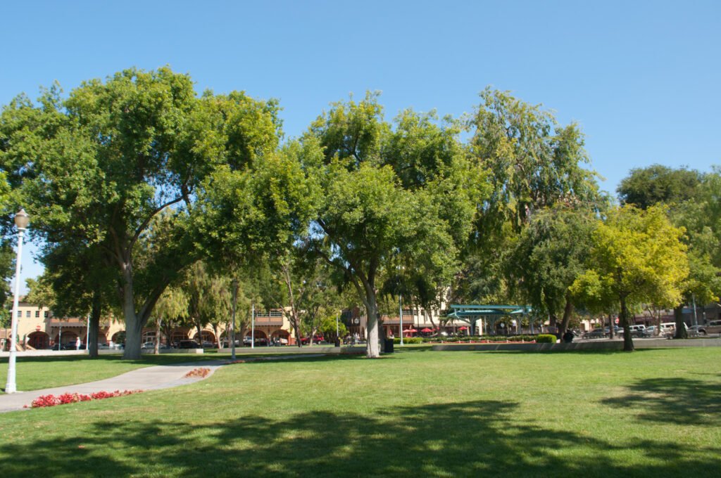 Todos Santos Plaza