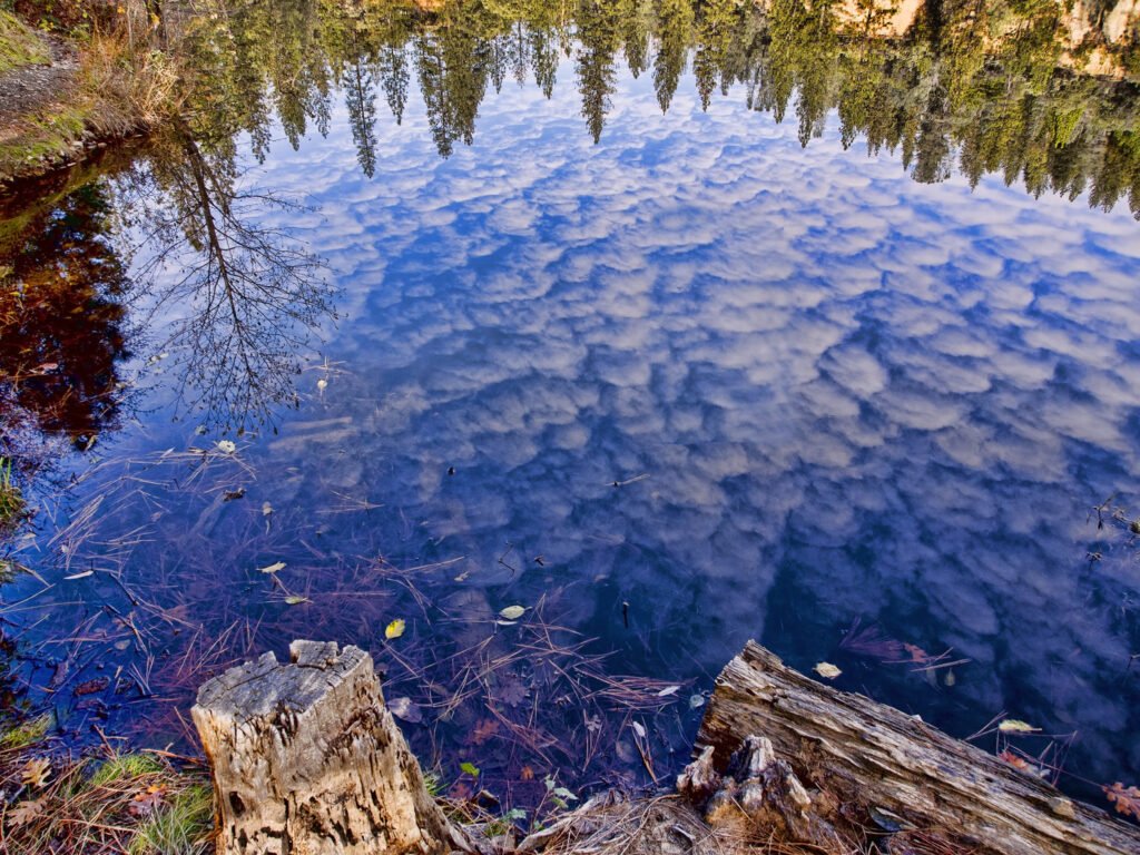 Hirschman's Pond Trailhead