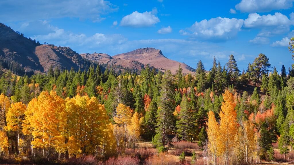 Sierra Nevada Foothills