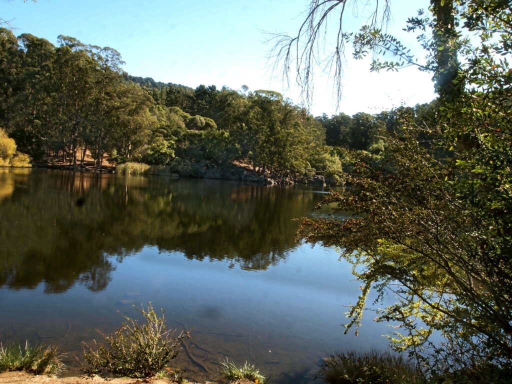 Tilden Regional Park