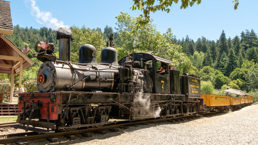 Roaring Camp Railroads