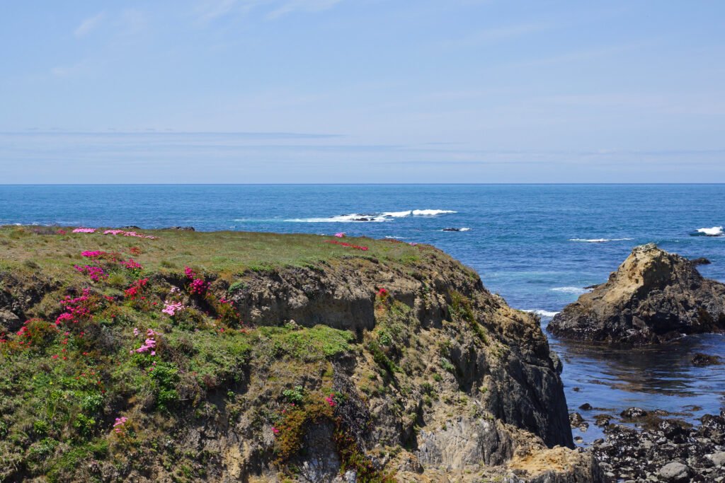 Mendocino Coast Botanical Gardens