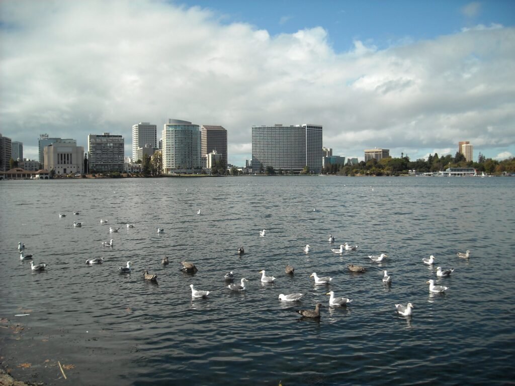 Lake Merritt, Oakland