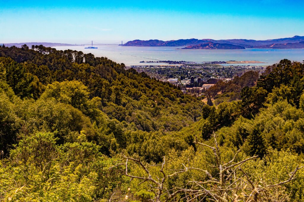 view of the Bay Area from the Berkeley Hills