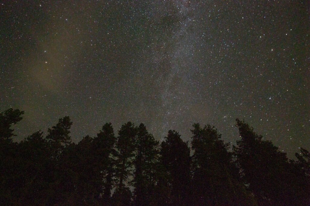 Stargazing at Del Norte Coast Redwoods State Park
