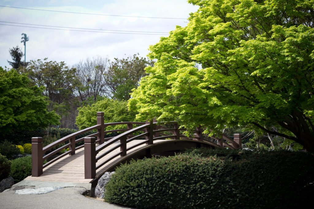 Japanese Friendship Garden, San Jose