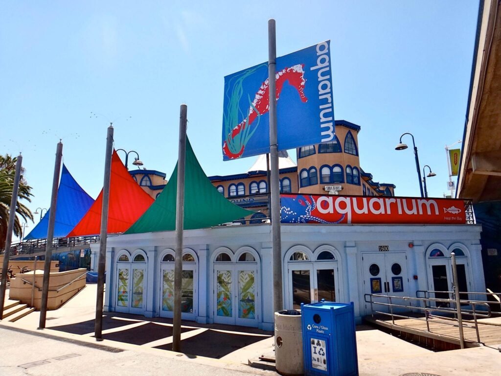 Santa Monica Heal the Bay Aquarium