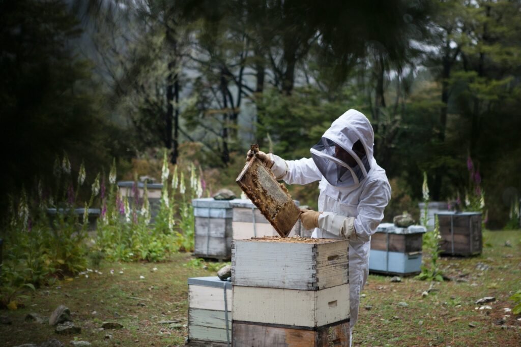 Sacramento Bee Hive