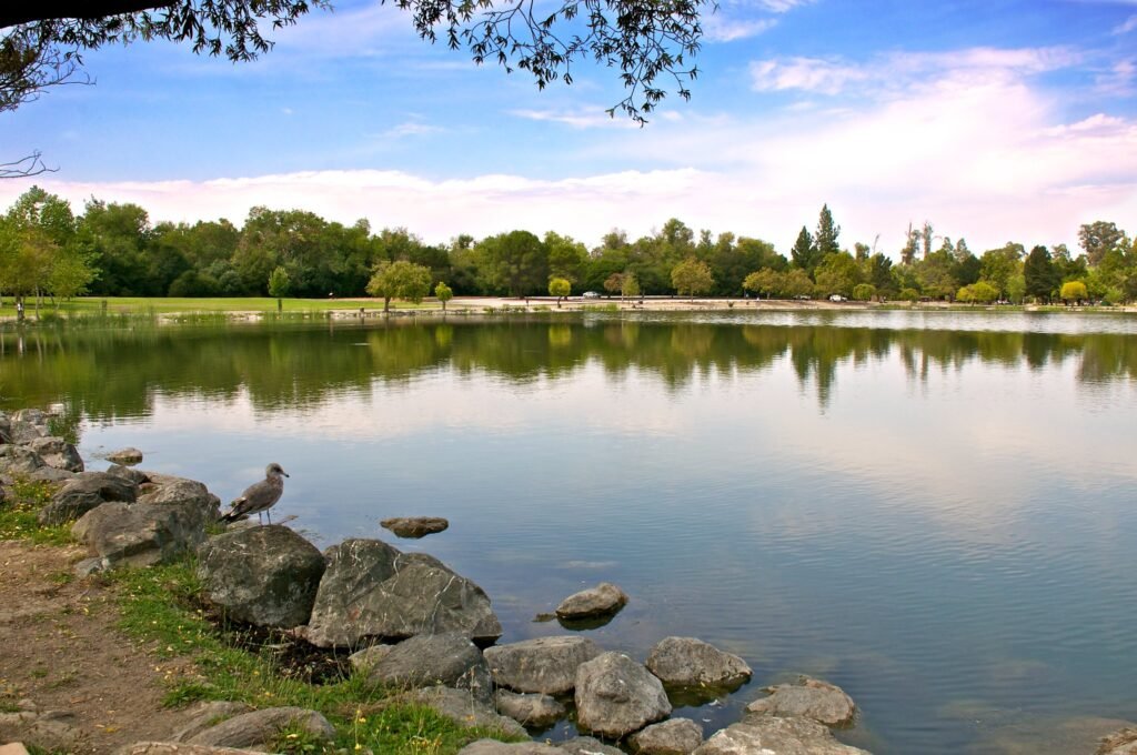 Hellyer County Park