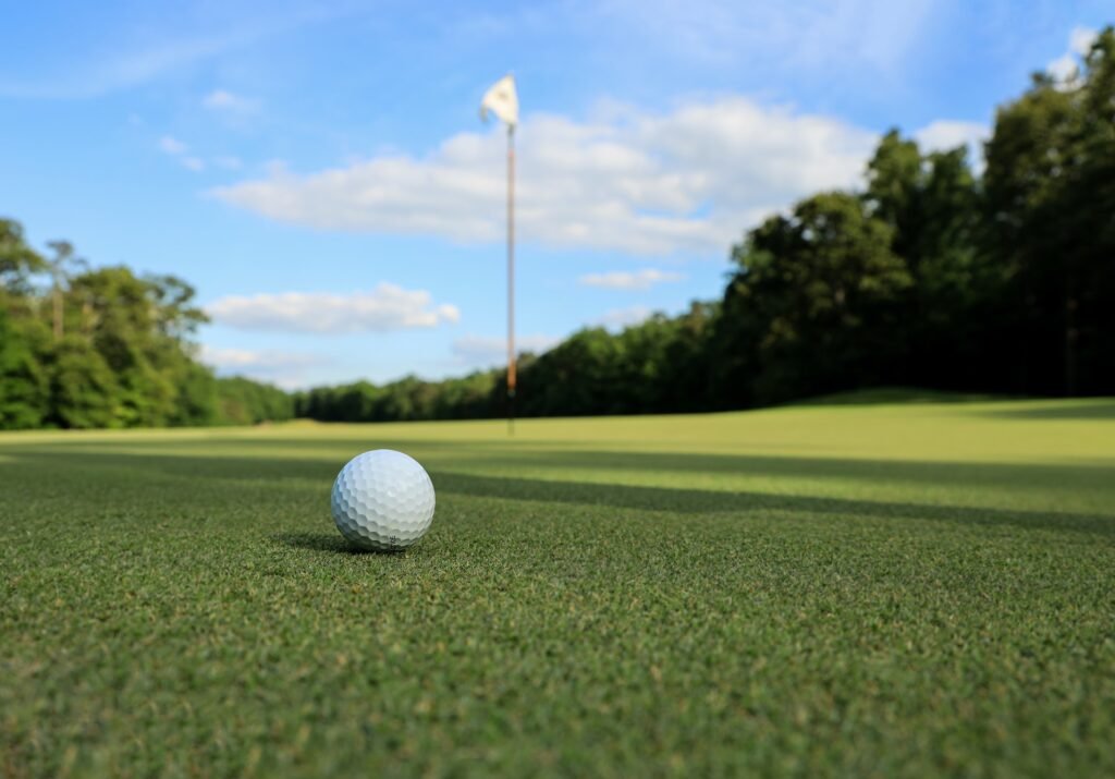 Auburn's Golf Courses