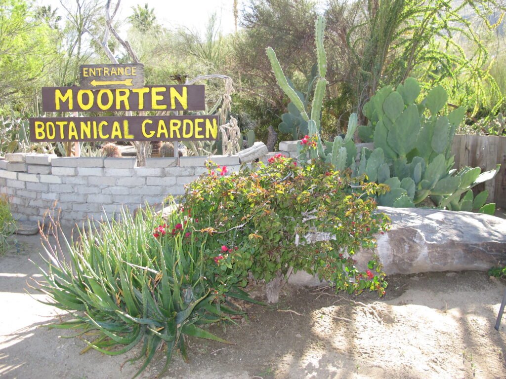 Moorten Botanical Garden