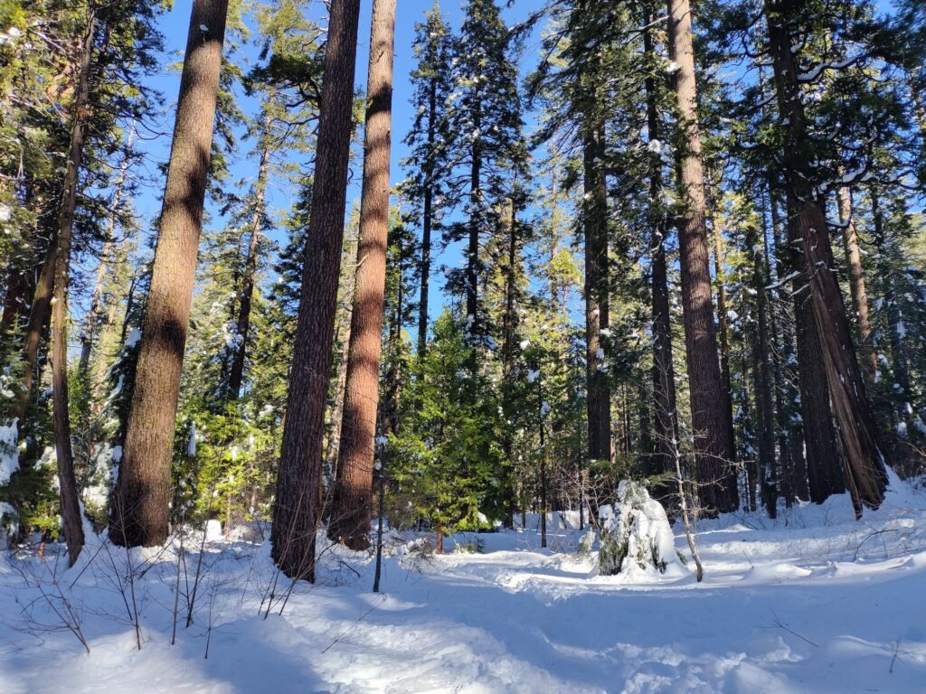 Kings Canyon National Park winter