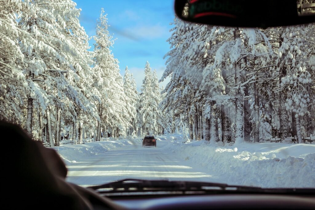 Truckee snow
