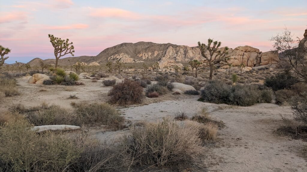 Joshua Tree National Park 