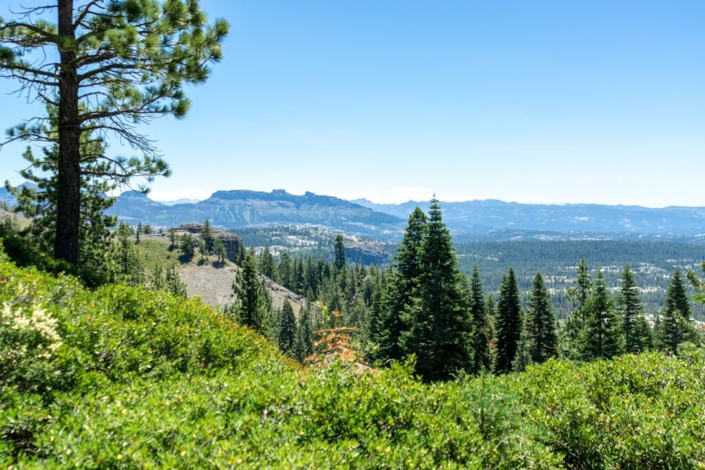 Chico, California