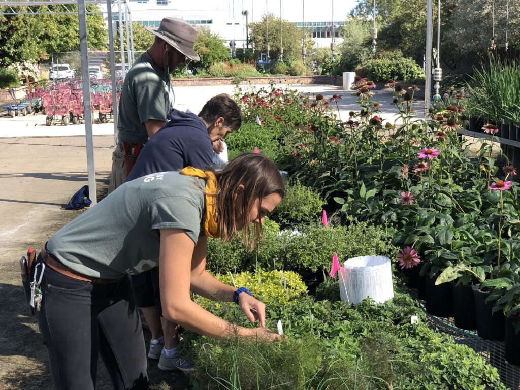 UC Davis Arboretum Teaching Nursery