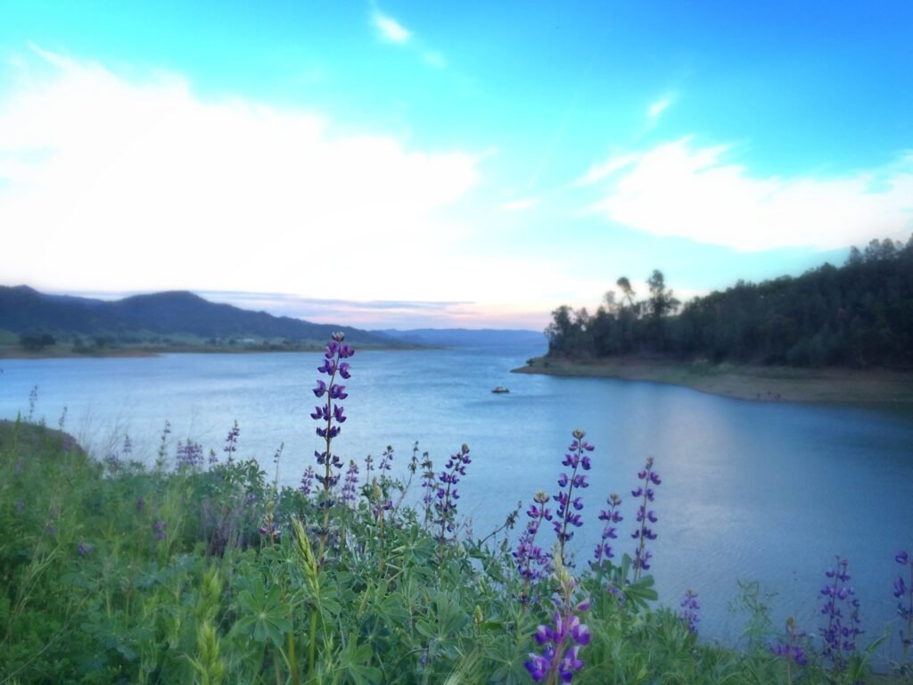 Lake Berryessa, Davis California