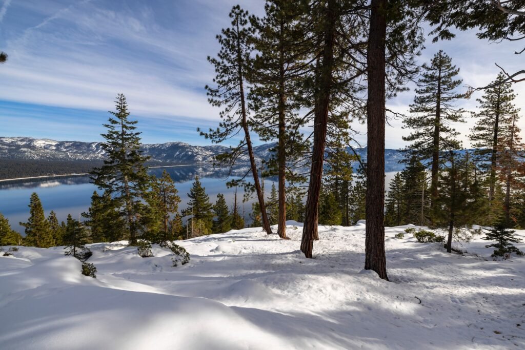 Truckee