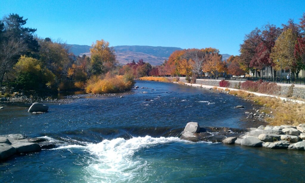Truckee natural beauty