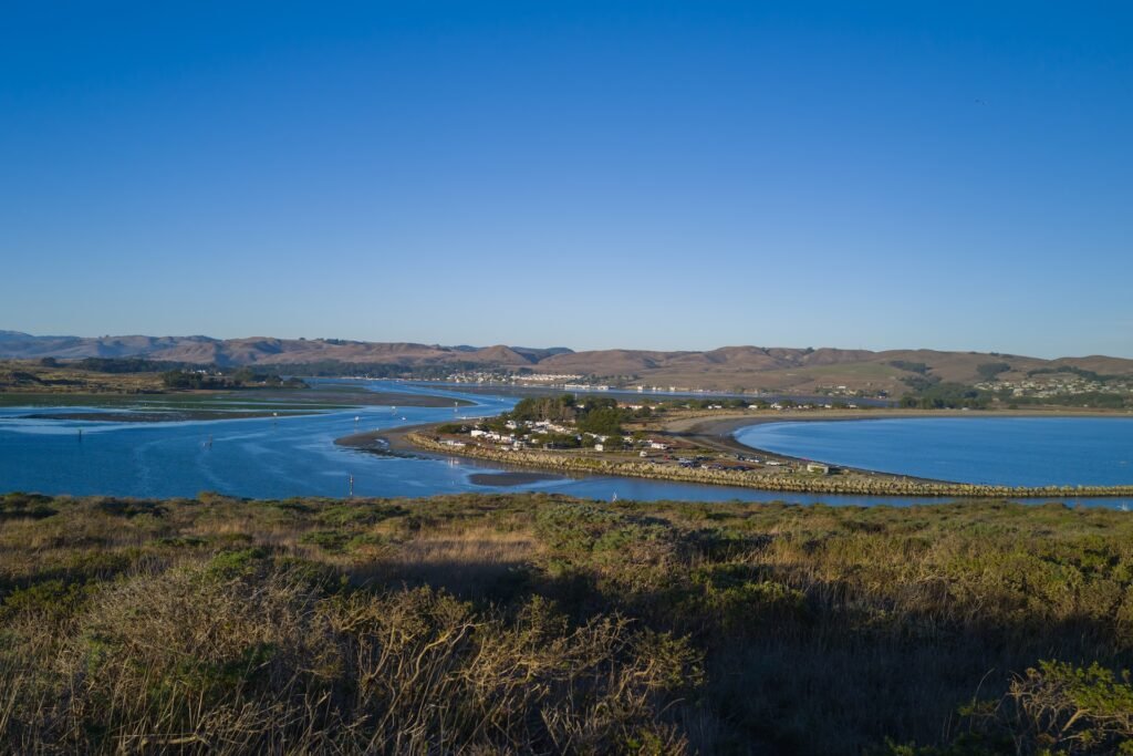 Bodega Bay