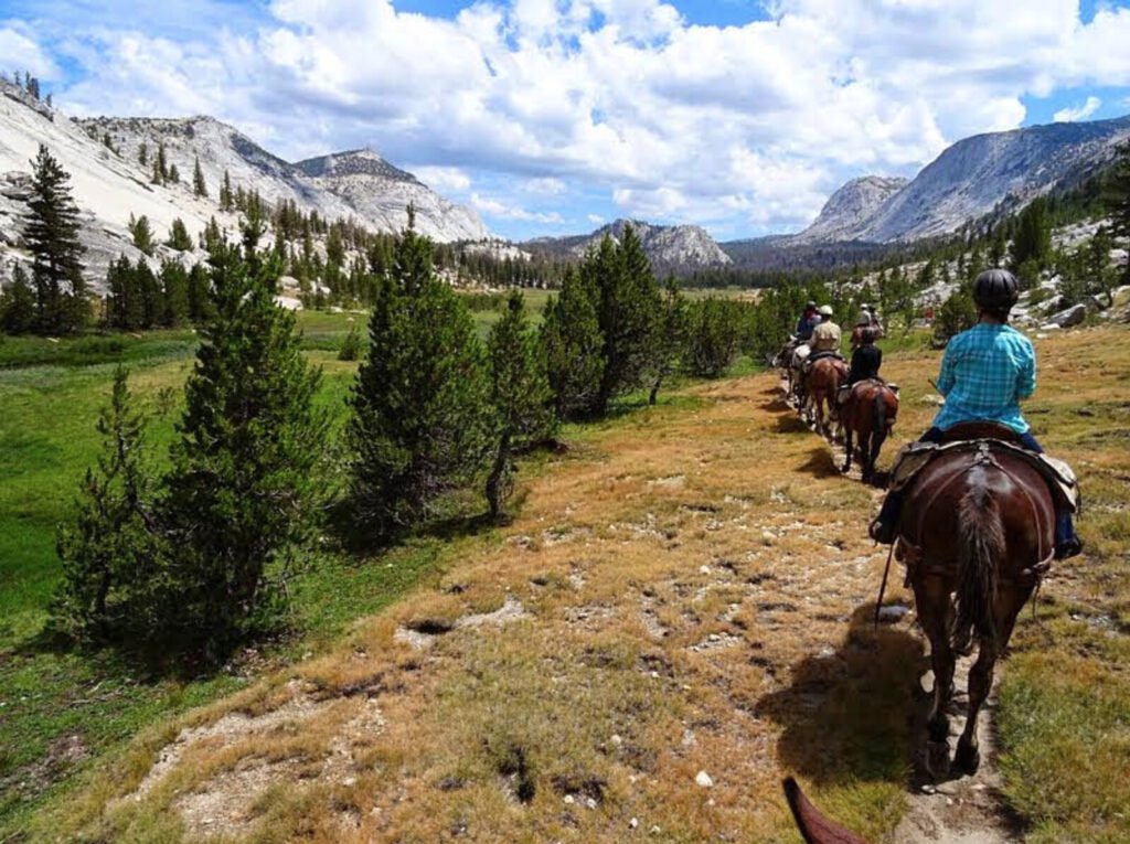 Explorikg The Ansel Adams Wilderness By Horse