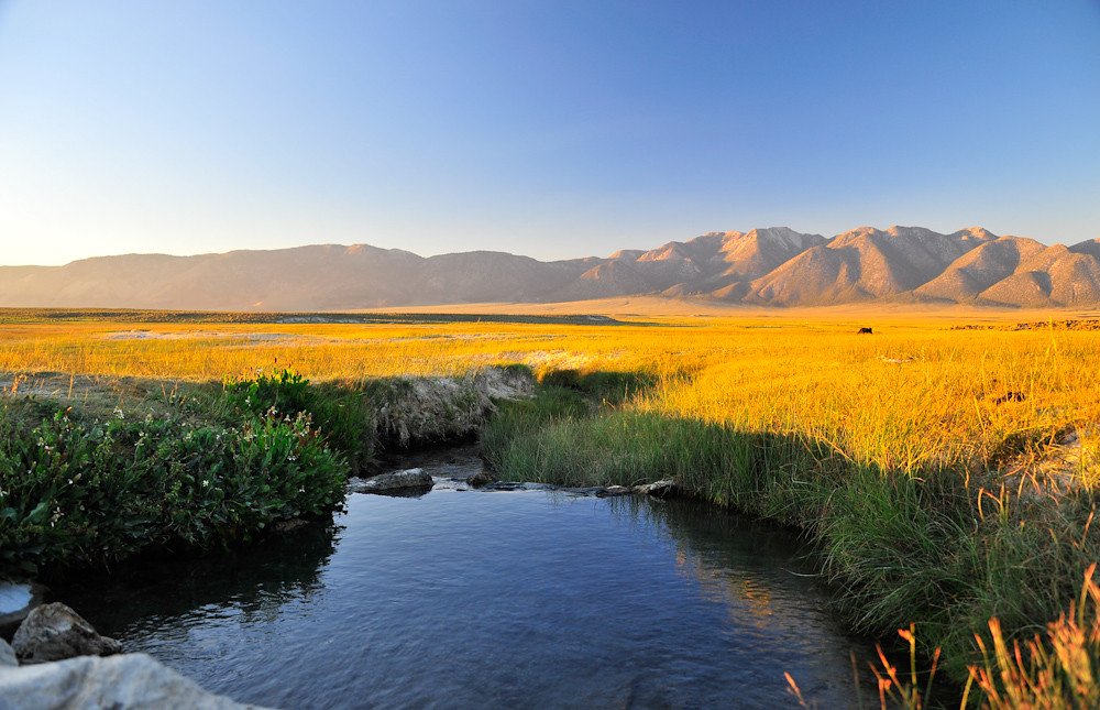 Wild Willy's Hot Spring