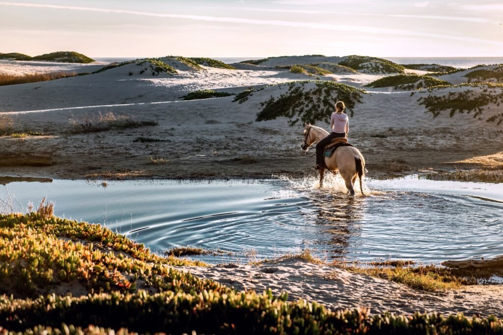 Horseback ride along the Merced River