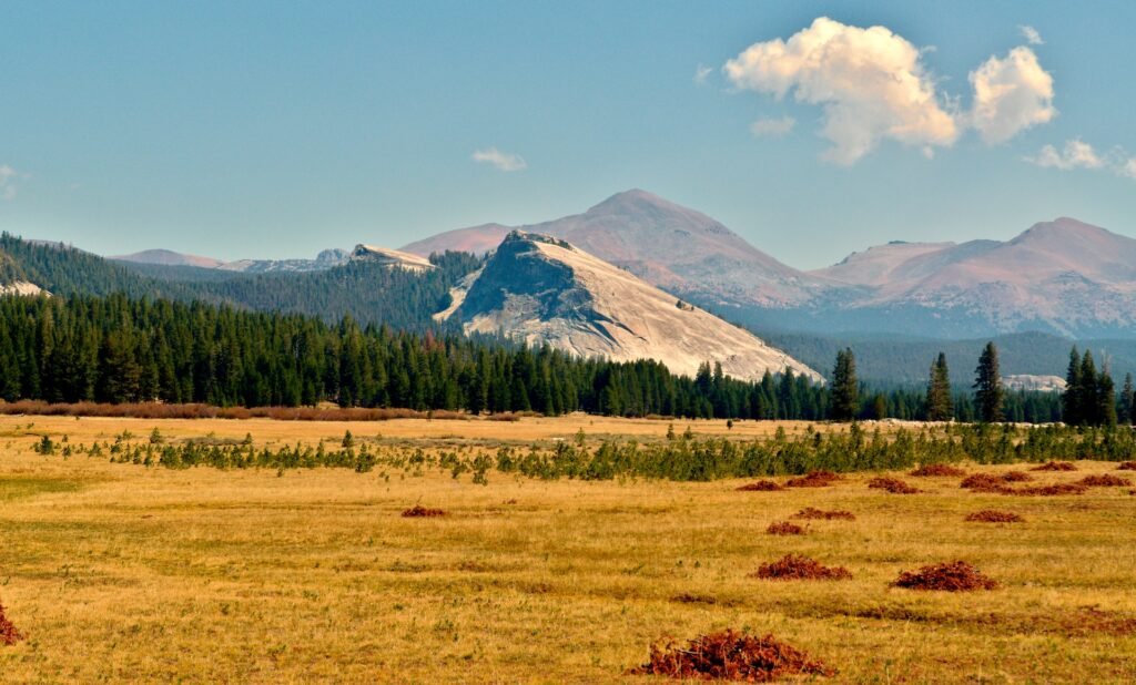 Tuolumne Meadows Yosemite National Park