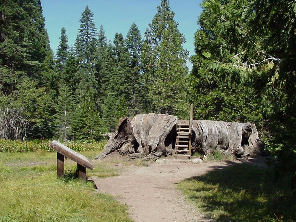 Big Stump Loop Trail Sequoia and Kings Canyon National Parks