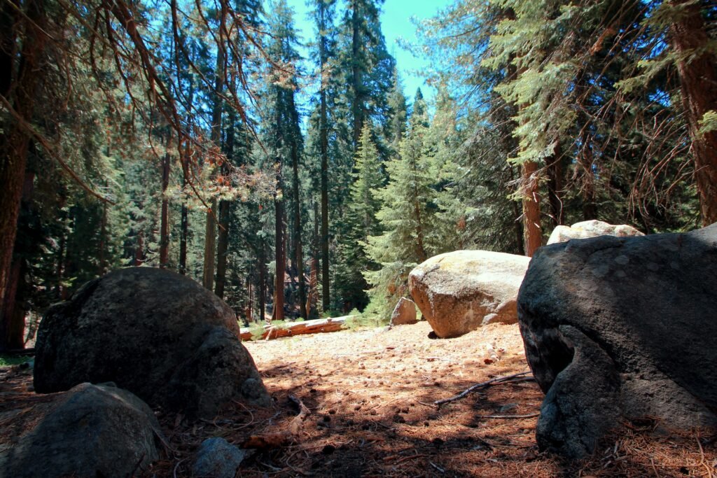 Seasonal Activities Kings Canyon National Park